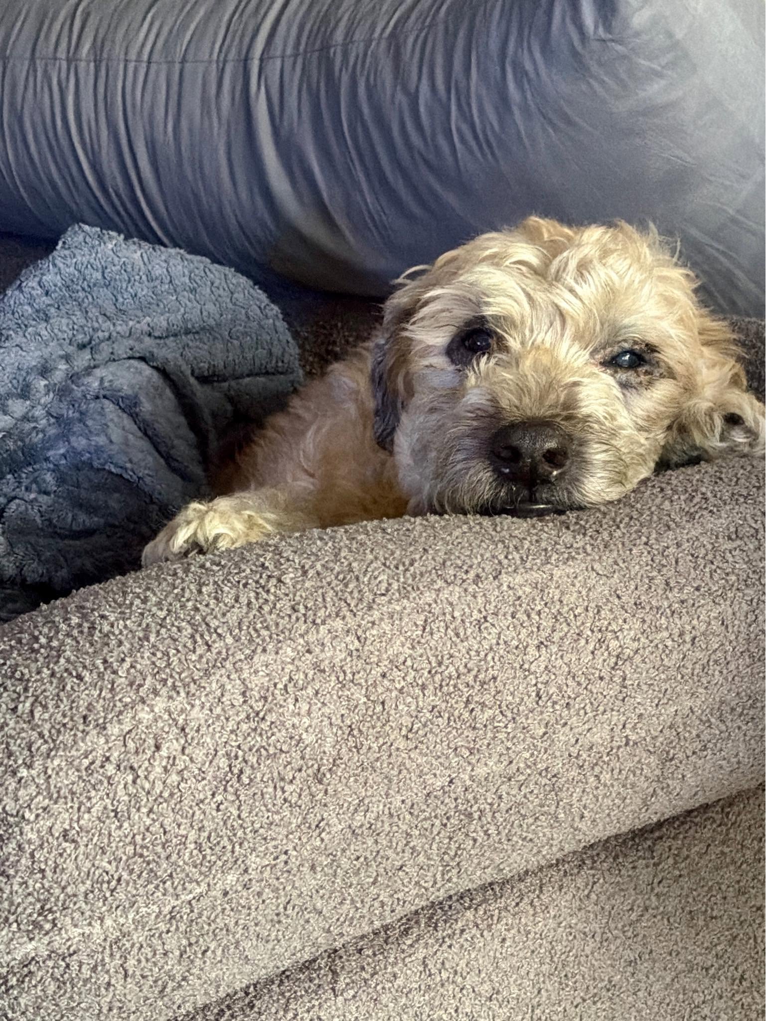 Couch duty
