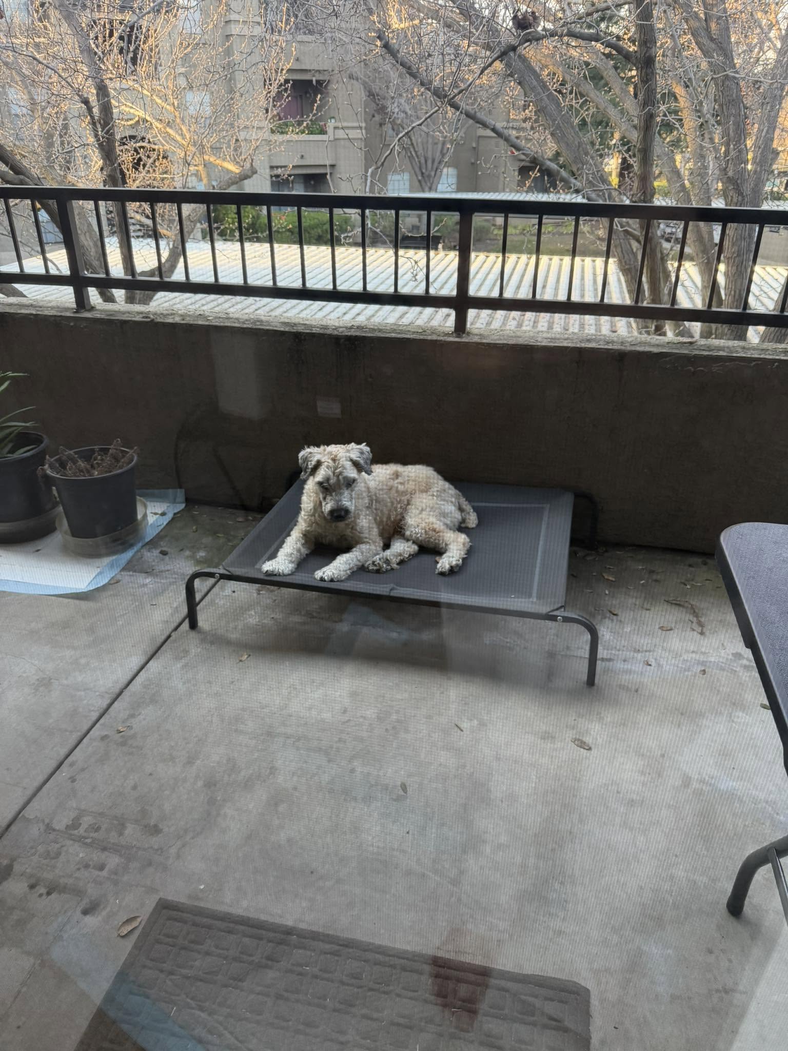 Keeping an eye on the street
