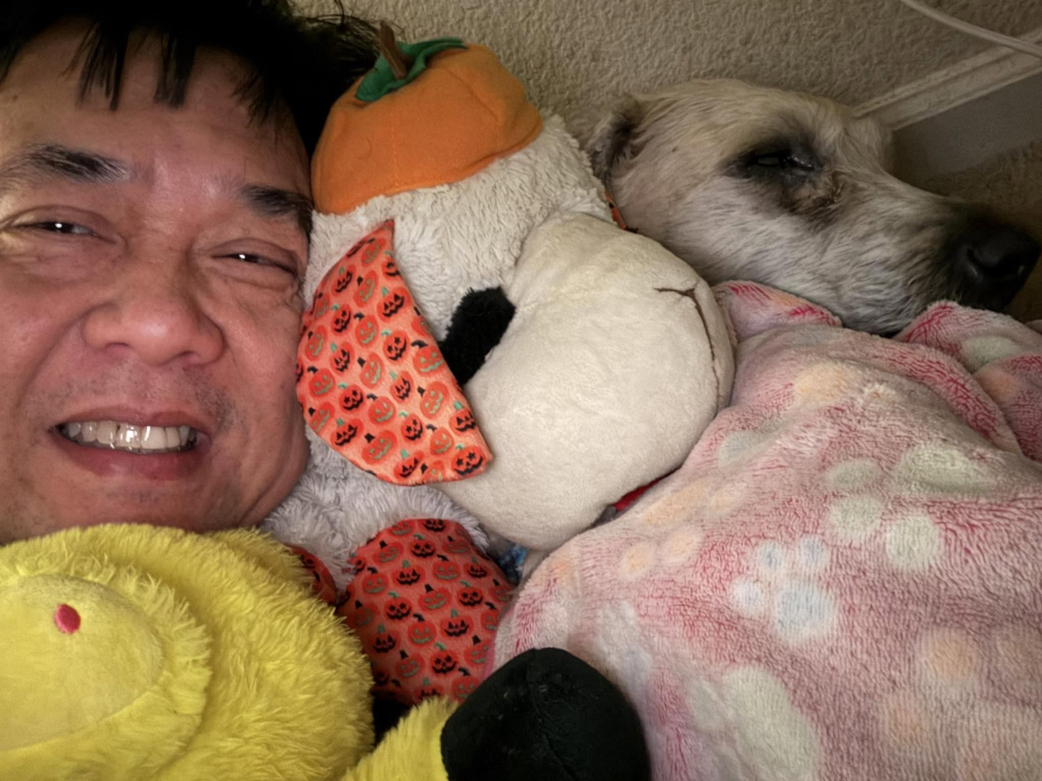 Nap time with the whole crew