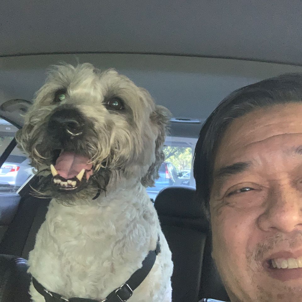 Riding shotgun