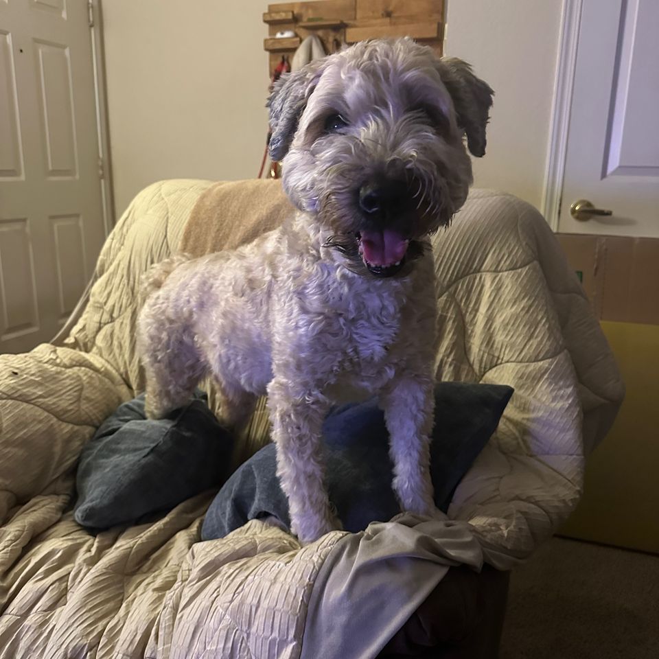The one who waits by the recliner
